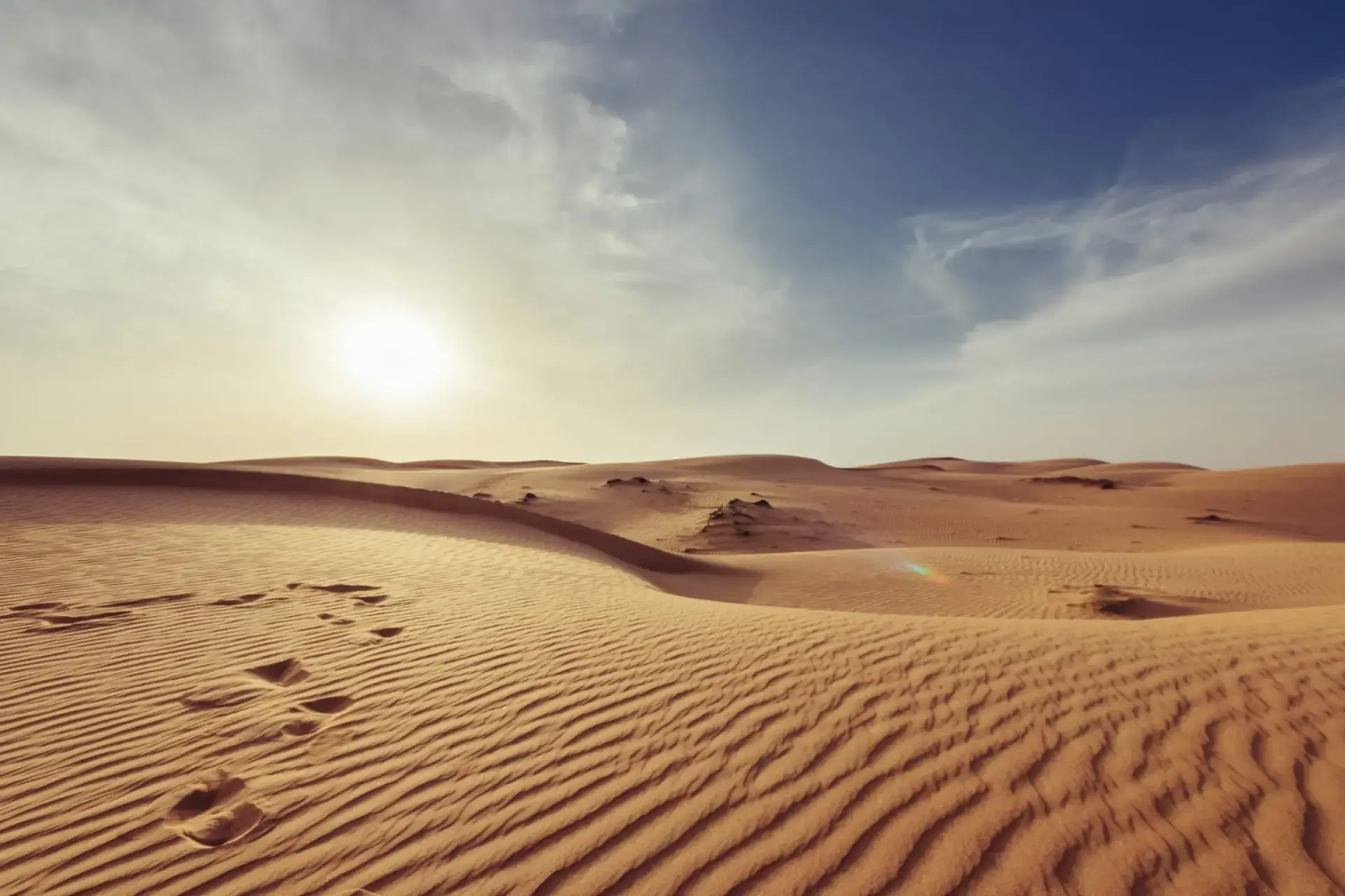 Golden desert dunes